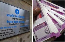 sbi news, sbi, fd