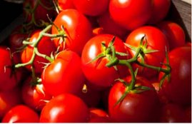 uric acid, uric acid diet, uric acid control