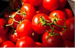 Uric Acid: टमाटर खाने से कम होता है यूरिक एसिड, जानिए कौन से हैं वो फूड्स जो तुरंत पहुंचाते हैं लाभ