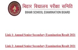 बिहार बोर्ड 12वीं का रिजल्ट जारी, biharboardonline.bihar.gov.in पर ऐसे देख पाएंगे अपने अंक
