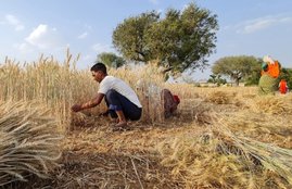 Farmers, Niti Aayog, National News