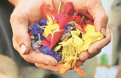 मदद का आनंद