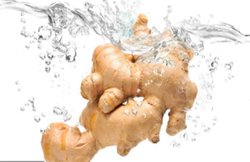 रोग प्रतिरोधक क्षमता को बढ़ाती है अदरक, गर्भावस्था में भी है फायदेमंद जानिए फायदे