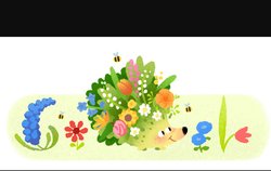 Spring Season Google Doodle: देखिए कैसा है फूल पत्तियों वाला गूगल का वसंत वाला डूडल