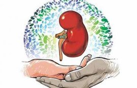 kidney, kidney diseases, renal diseases, kidney ailment, kidney patients