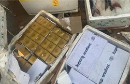 Liquor Smuggling, Patna, Bihar