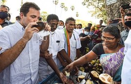 Rahul Gandhi, Congress, Tamil Nadu