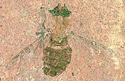 वैज्ञानिकों ने ढूंढा 4.7 करोड़ साल पुरानी मक्खी का जीवाश्म, पेट में भोजन का अंश भी