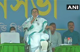mamta banerjee, tmc , west bengal