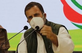 rahul gandhi, congress, india