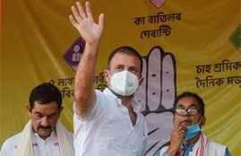assam , rahul gandhi, congress