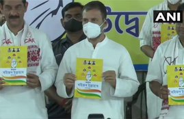 rahul gandhi, assam , congress