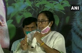 mamta banerjee, nandigram, west bengal