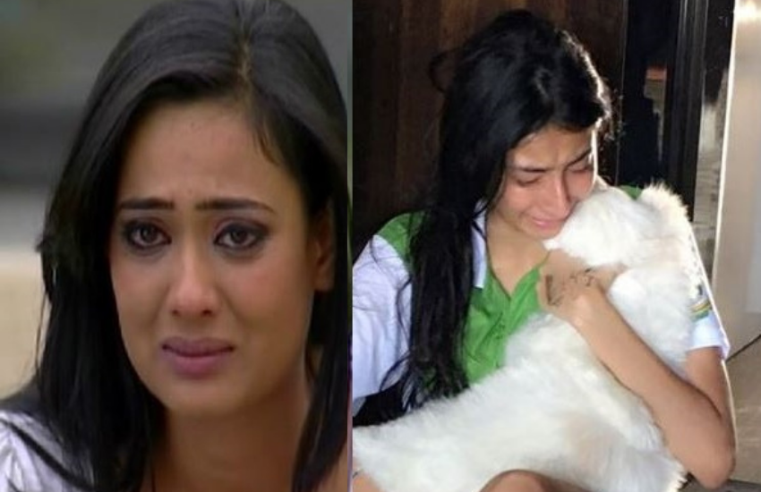 Shweta Tiwari, Abhinav Kohli, Raja Chaudhary