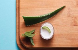 aloe vera, aloe vera for skin, lifestyle