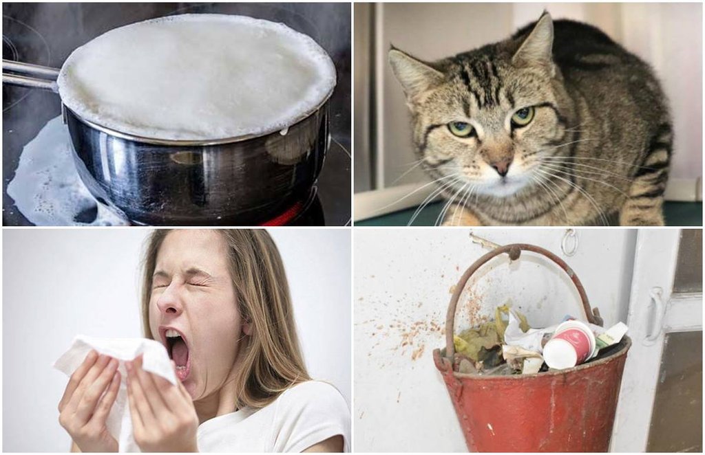 astro tips, bad sign, bad sign during work, superstitious beliefs, bad habbits,