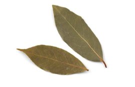 bay leaf, bay leaf benefits, health