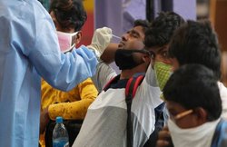 पशुओं से इंसानों में फैल सकता है कोरोना? जानें-क्या कहती है WHO Report