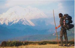 गर्मियों के मौसम में ये 7 जगह हैं घूमने के लिए बेस्ट, बजट में प्लान करें ट्रिप