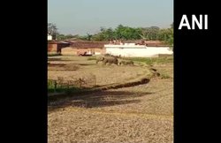 हथिनी और उसके बच्चे को दौड़ा रहे थे लोग, गुस्साई मां ने 2 लोगों को मार डाला