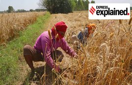 farm laws, farm lwo, farm care