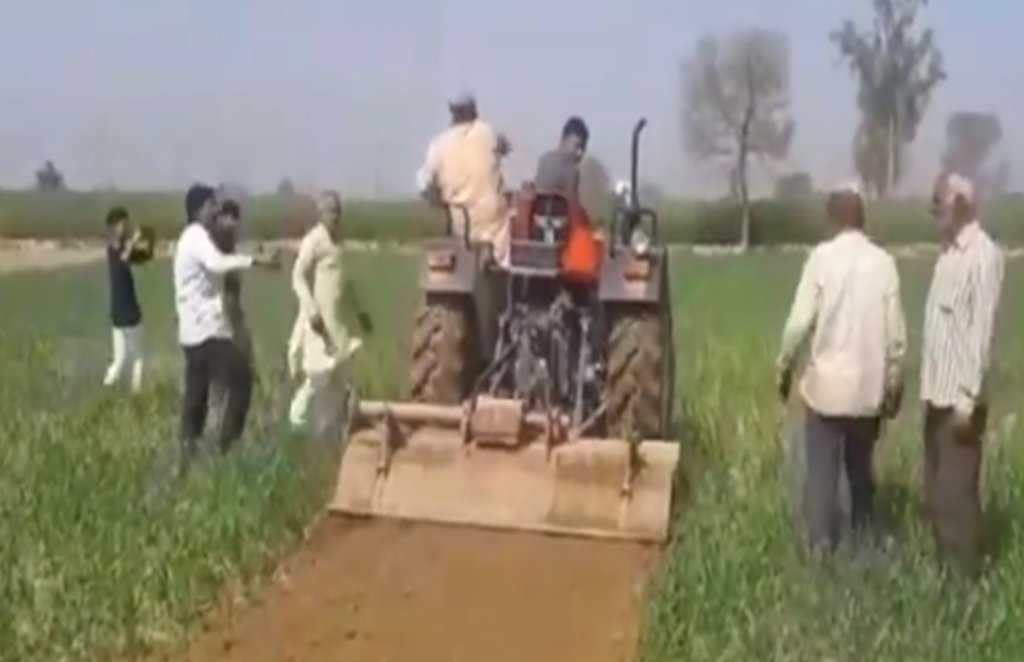 Shamli, alum, farmer, crop Shamli, alum, farmer, crop