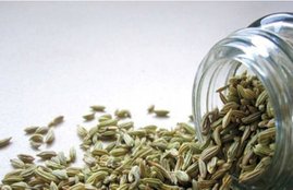 Fennel Seeds, obesity, body fat