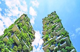 Environment
