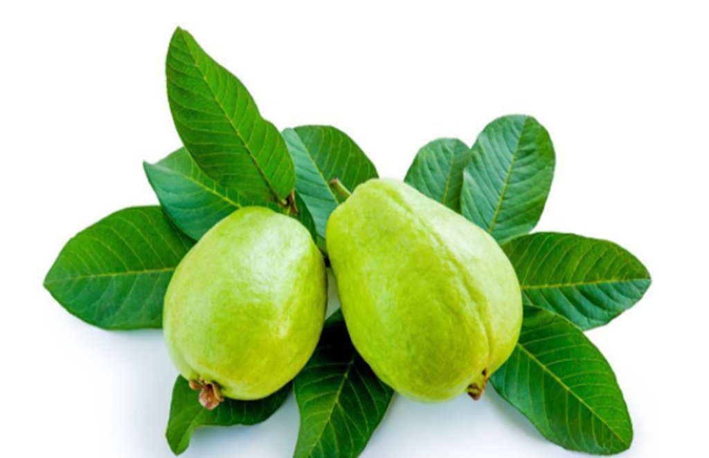 guava leaves, guava leaves paste, home remedies