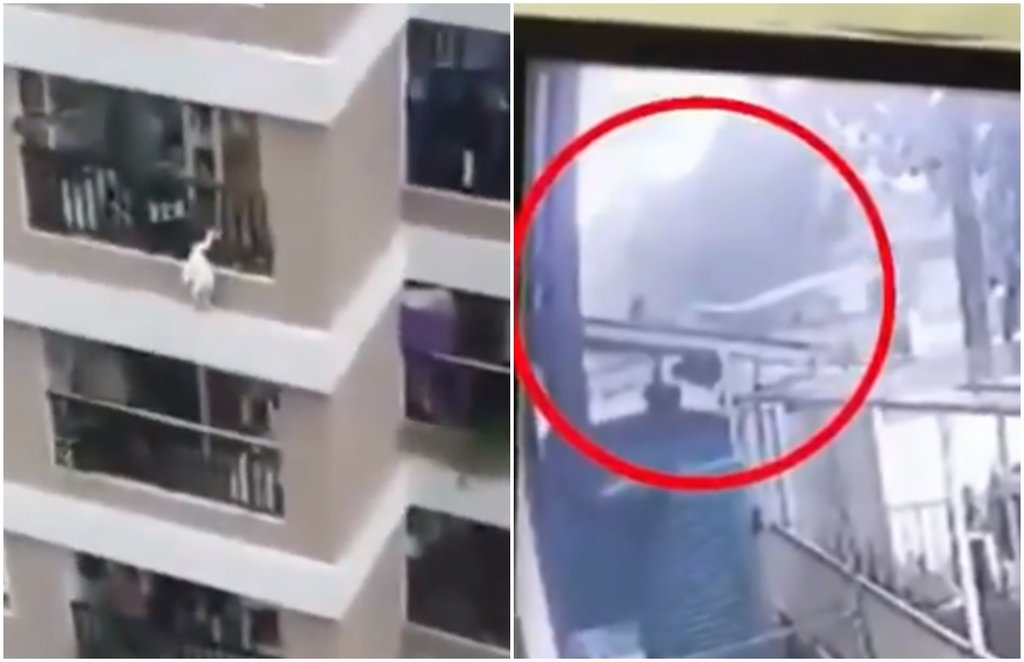 vietnam man saves girl falling from building, man catch girl falling from 12th floor, delivery man saves toddler from high rise, viral news, vietnam man saves girl falling from building, man catch girl falling from 12th floor, delivery man saves toddler from high rise, viral news,