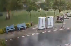 बारिश के बीच पेड़ के नीचे खड़े थे 4 लोग, आकाशीय बिजली आई और कर गई 2 को जख्मी, देखें VIDEO