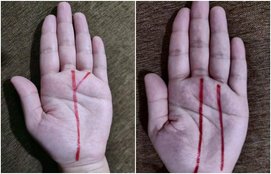 Palmistry, hand line reading, luck line hand, bhagya rekha, hand line prediction,