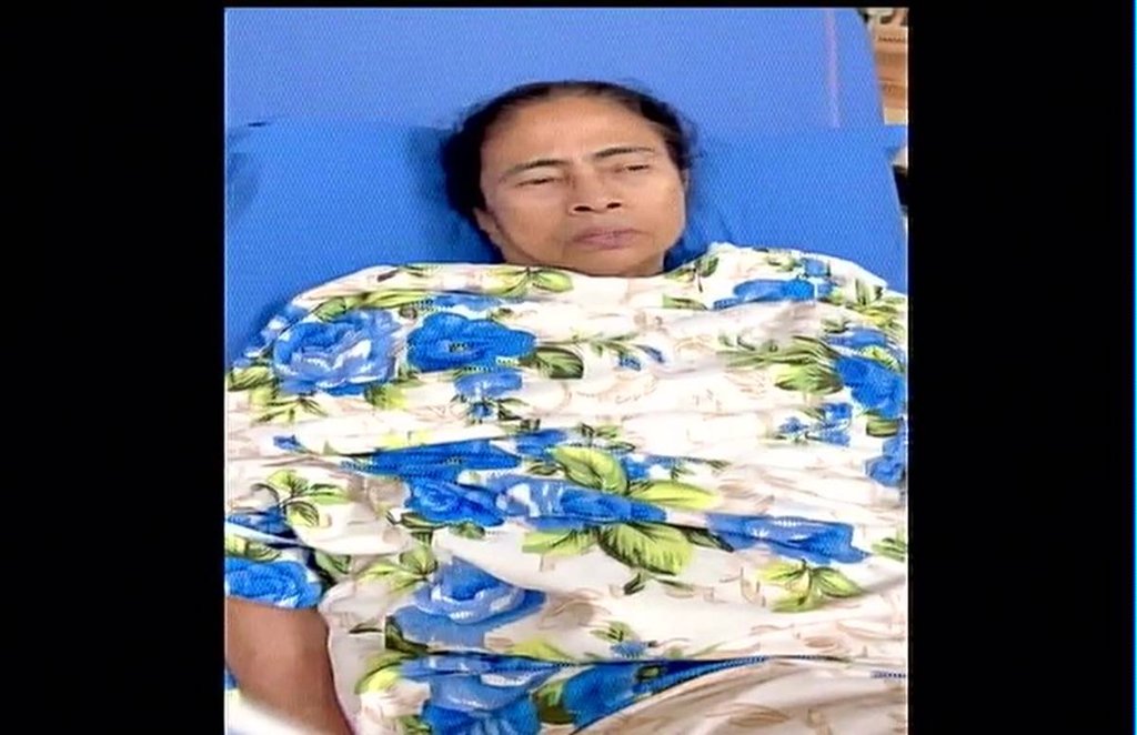 bengal