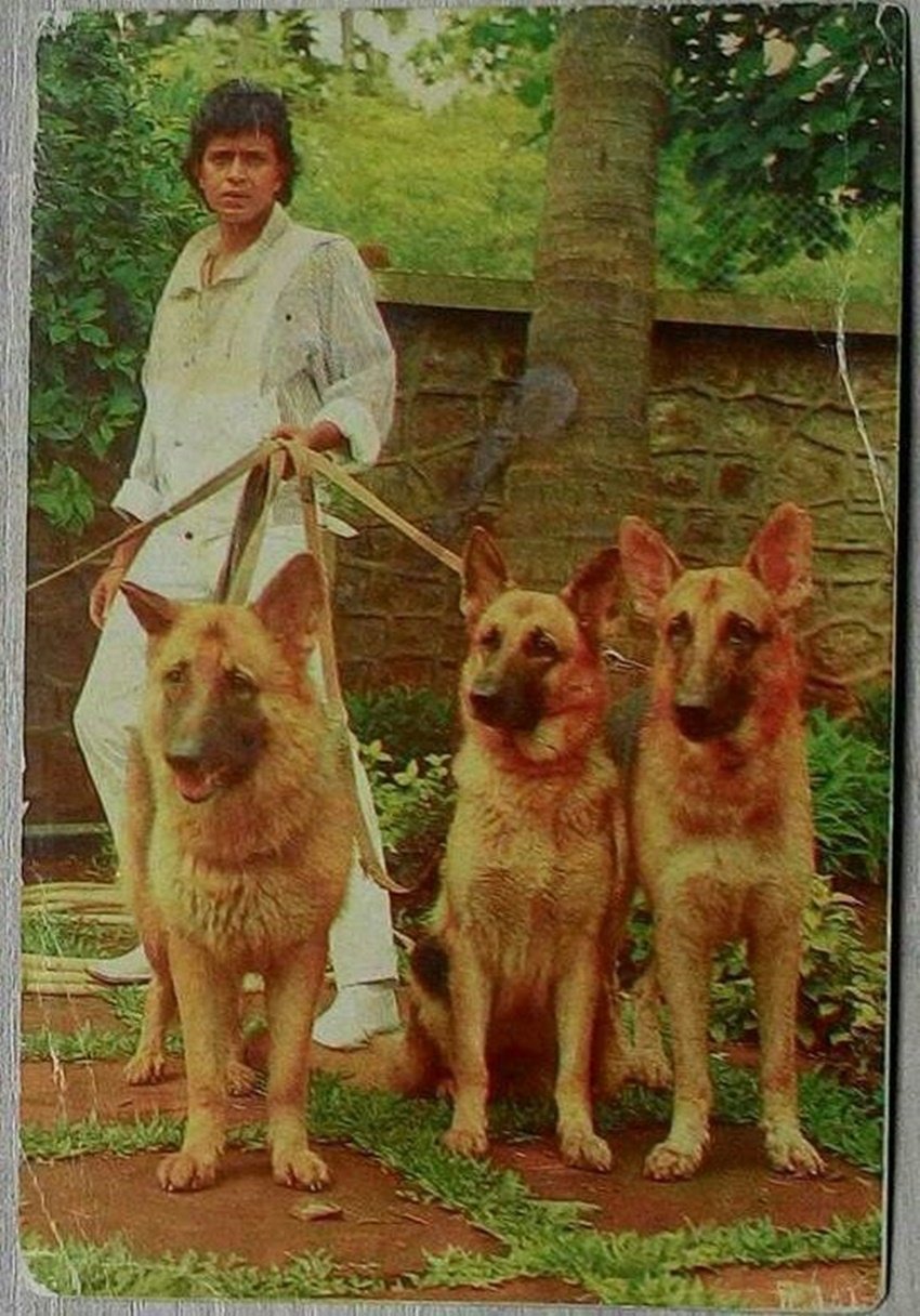 mithun chakraborty networth, Mithun BJP, West bengal Election