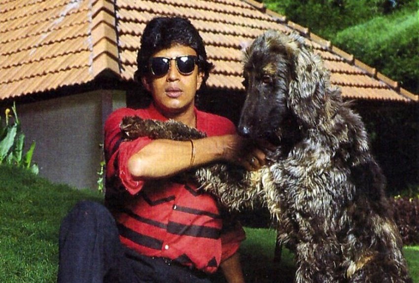 mithun chakraborty networth, Mithun BJP, West bengal Election