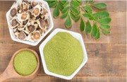 moringa leaves, health, moringa leaf