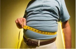 obesity, how to control obesity, health