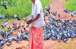 विविधता का जीवन