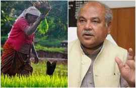 pm kisan, narendra tomar