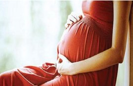 pregnancy, books read in pregnancy, health