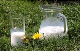 raw milk, lifestyle, raw milk benefits