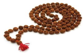 Rudraksha, Rudraksha benefits, Rudraksha mala benefits, Rudraksha diksha