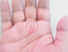 shani dev, shani line in hand, palmistry, shani parvat in hand, palm shani planet,