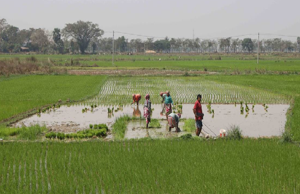 singur