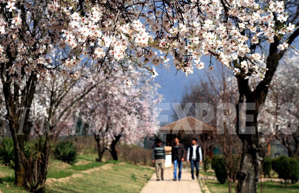 spring