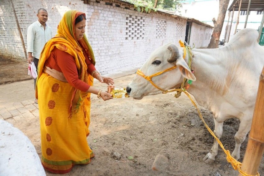 Rajlakshmi Yadav Dimple Yadav, Akhilesh Yadav SP, Mulayam Singh second wife