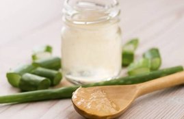 aloe vera, aloe vera juice, aloe vera juice benefits, aloe vera gel