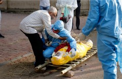 Coronavirus, COVID-19 Vaccine, India News