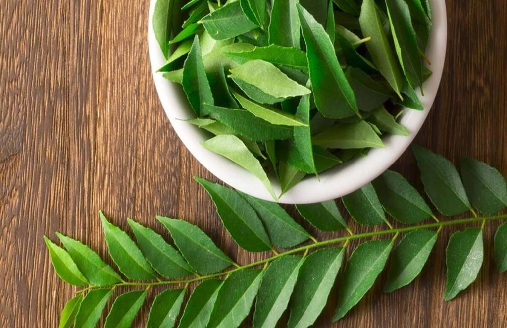 fatty liver, curry leaves for fatty liver, fatty liver diet