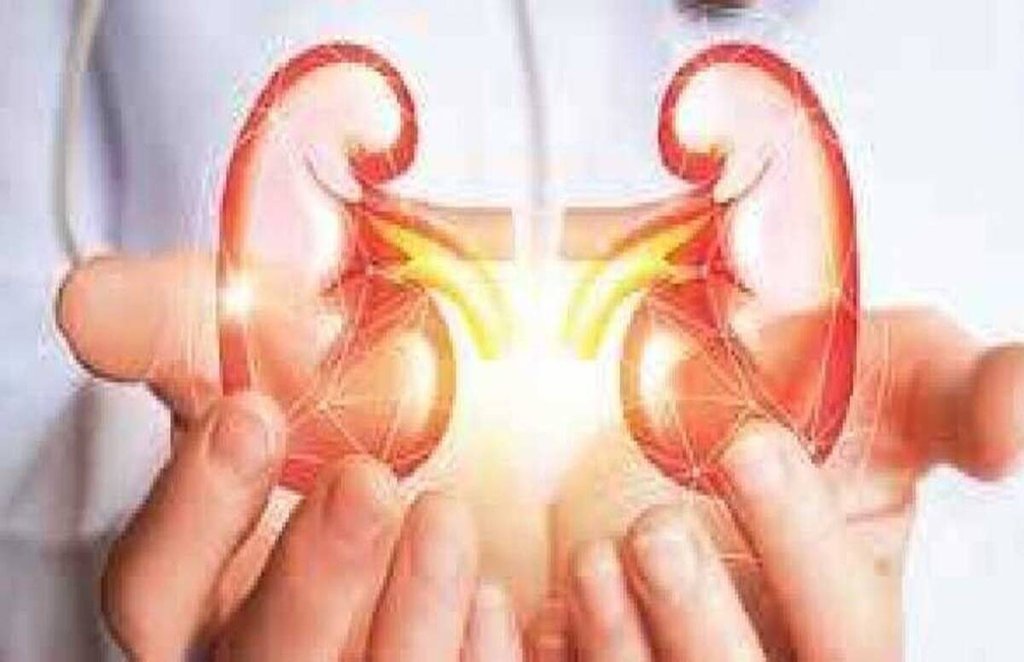 diabetes, heart disease, high blood pressure, high bp, kidney diseases